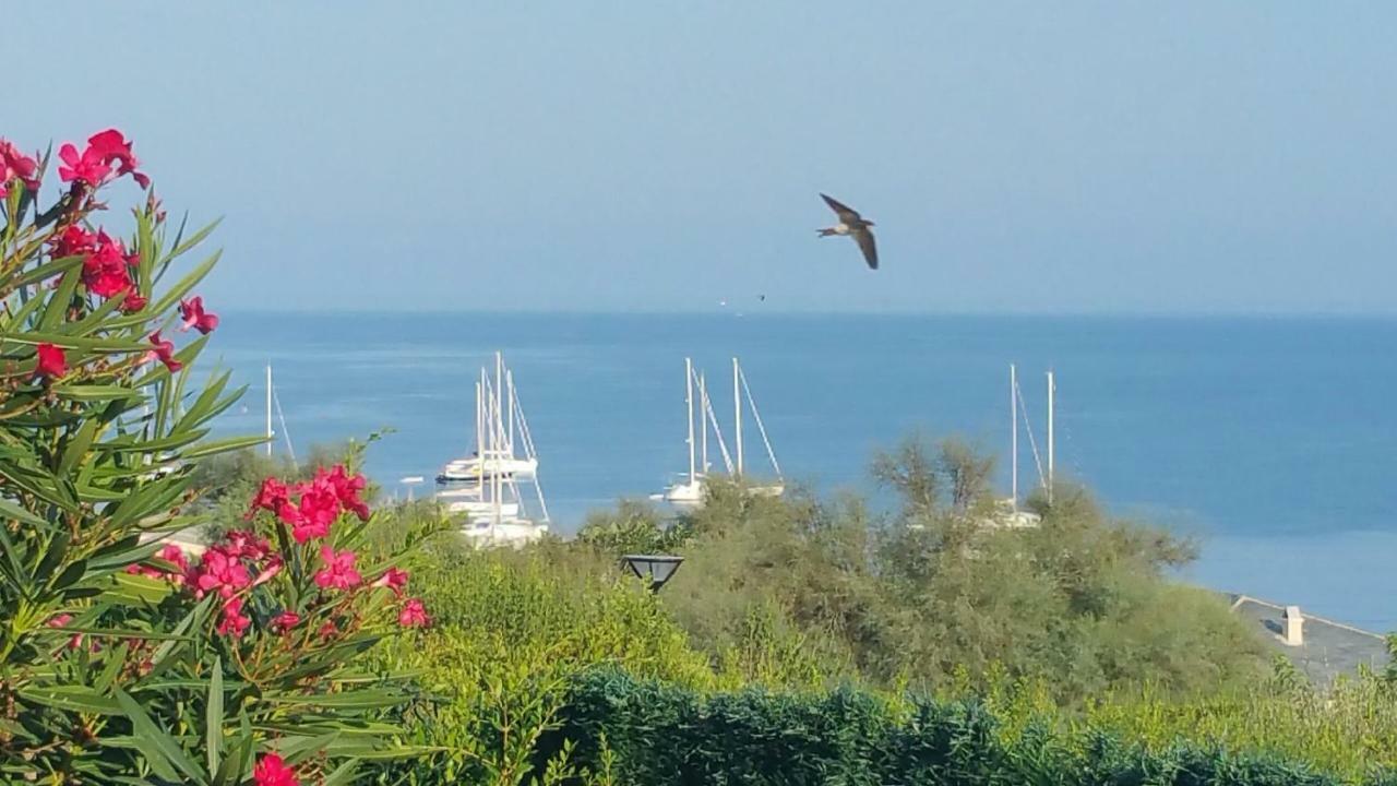 Porteo - Les Terrasses Du Port Чентури Экстерьер фото